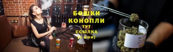 дмт Белокуриха