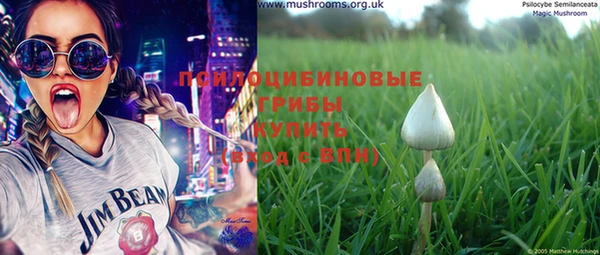 дмт Белокуриха