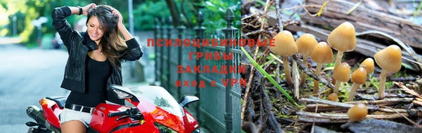 эйфоретик Белоозёрский